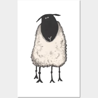 Sheep, Baaarney, Baa! Posters and Art